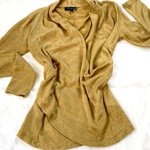 Shimmer Cross-over Top EC XS